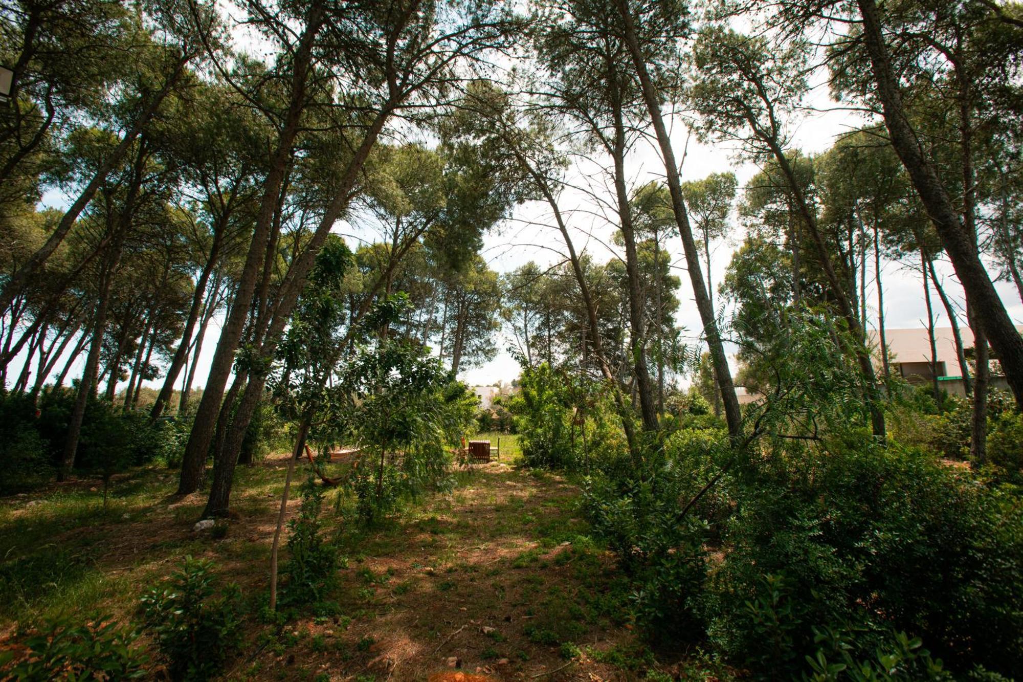 Villa Dei Cento Pini Monteroni di Lecce Exterior foto